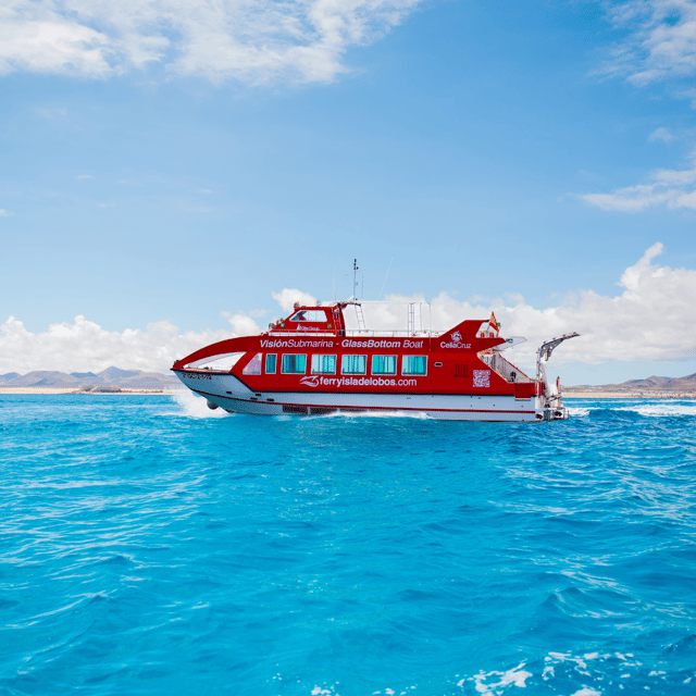 Fuerteventura: 1-Hour Mini Swim & Snorkel Cruise - Glass windows and the underwater view