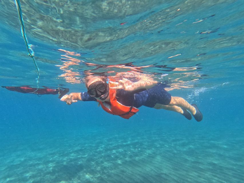 Fuerteventura: Guided Snorkeling in La Lajita with Pickup - Key points at a glance