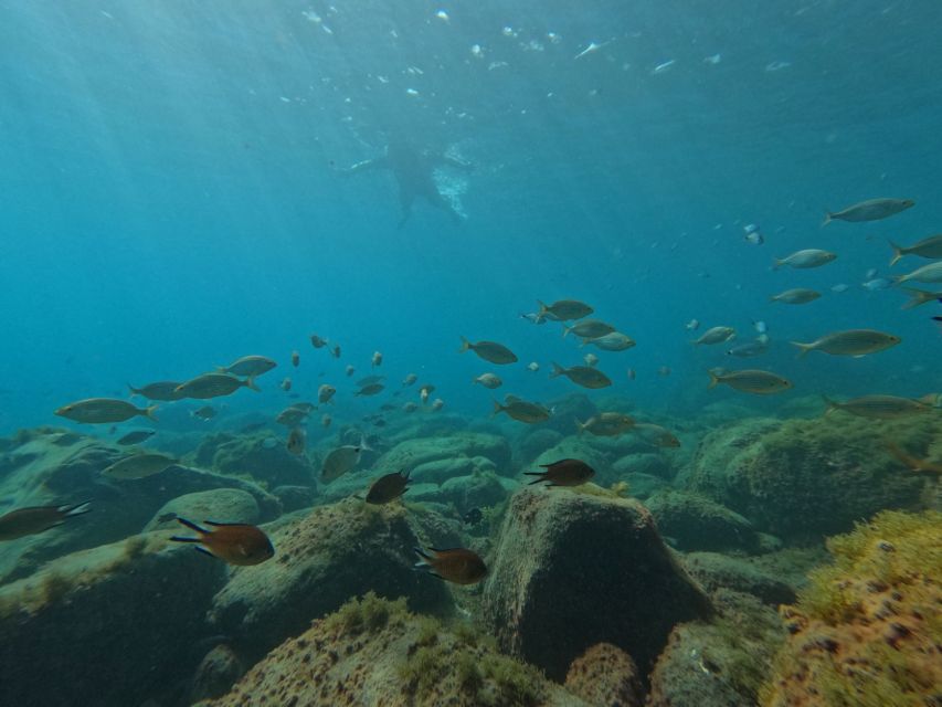 Fuerteventura: Guided Snorkeling in La Lajita with Pickup - A proper briefing before you enter the Atlantic