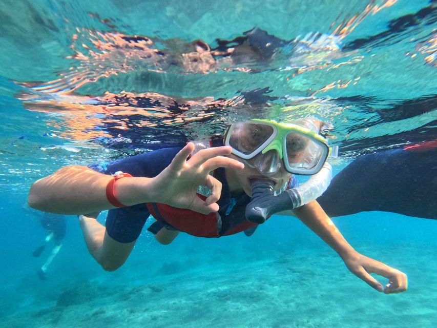 Fuerteventura: Guided Snorkeling in La Lajita with Pickup - Is $46 a fair price?
