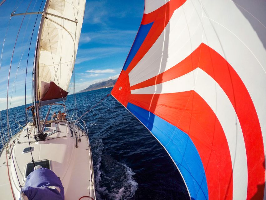 Fuerteventura: Sailing with Snorkeling and Dolphin Watching - What to bring for a comfortable afternoon
