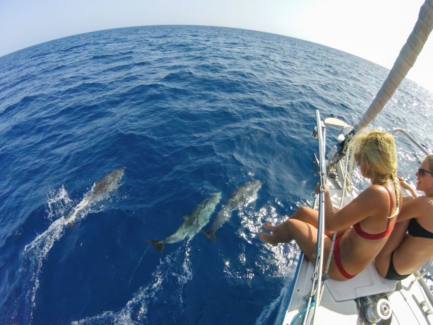 Fuerteventura: Sailing with Snorkeling and Dolphin Watching - Tapas, wine, and local flavors onboard
