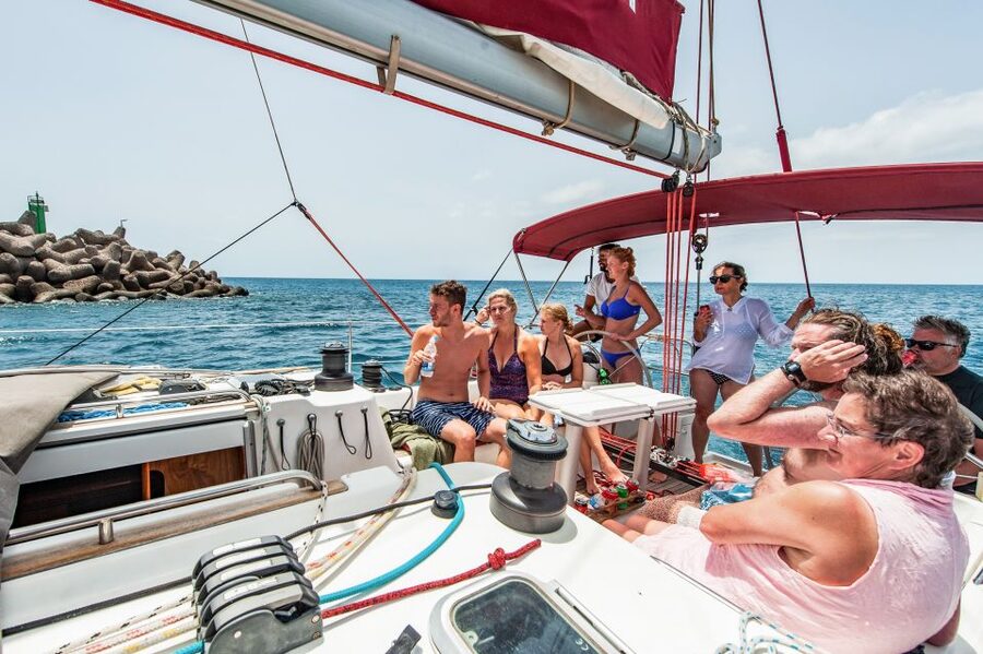 Fuerteventura: Sailing with Snorkeling and Dolphin Watching - Price and overall value at $104