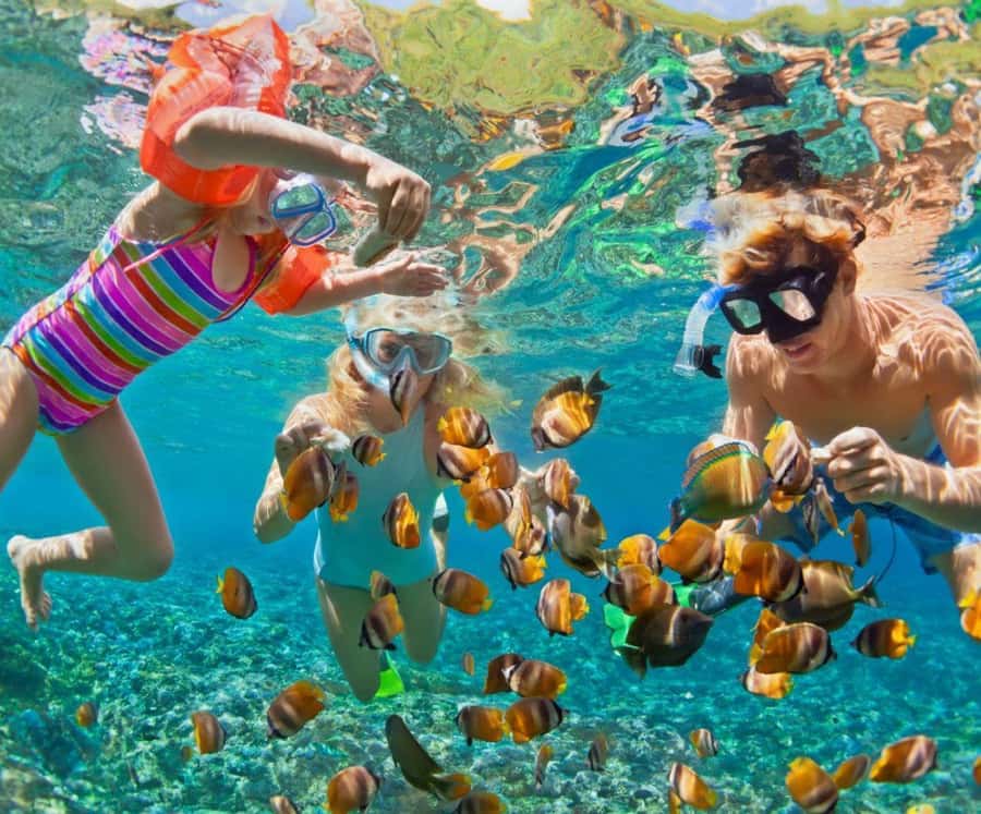 Full Day Barú island: Mangrove +Snorkel + Sunset + Plankton - Freedom Beach Club and the Barú beach day