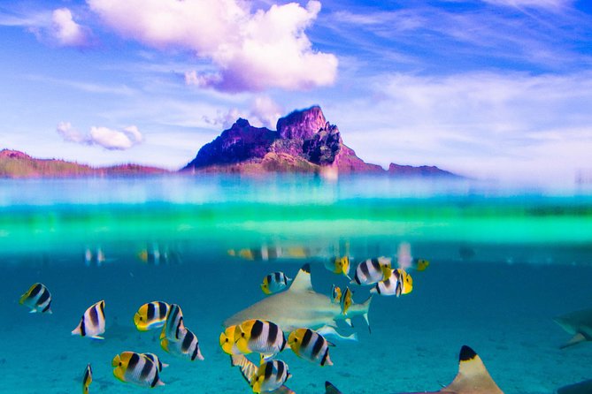 Full-Day Bora Bora Lagoon Cruise Including Snorkeling with Sharks and Stingrays - Key points at a glance