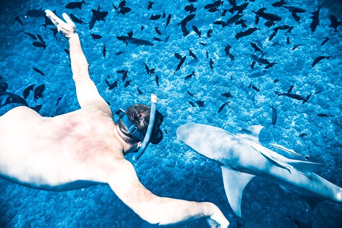 Full-Day Bora Bora Lagoon Cruise Including Snorkeling with Sharks and Stingrays - Coral Gardens above a natural aquarium