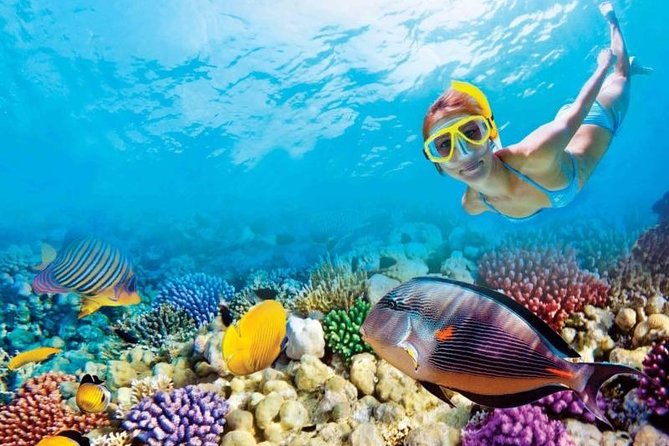 Full-Day Key West Tour and Coral Reef Snorkeling with Open Bar - Leaving Miami before breakfast