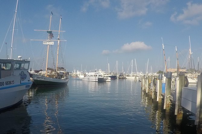 Full-Day Key West Tour and Coral Reef Snorkeling with Open Bar - Is the $99 price good value?
