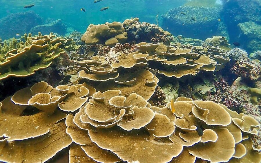 Full-Day Koh Lipe 5 points Snorkeling (East Zone) with Lunch - What the six-hour Koh Lipe boat trip is really like