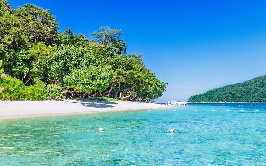 Full-Day Koh Lipe 5 points Snorkeling (East Zone) with Lunch - Should you book it?