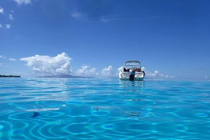 Full-Day Private Boat Tour of Bora Bora Lagoon with Snorkel - Is $1,400 good value for your group?
