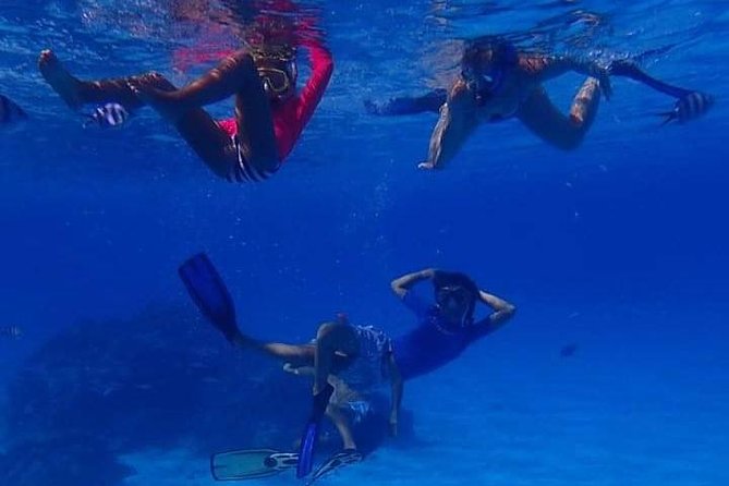 Full-Day Private Boat Tour of Bora Bora Lagoon with Snorkel - The first snorkeling stops and coral canyon