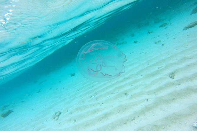 Full-Day Tour to Punta Rucia and Cayo Arena with Snorkeling - Punta Rucia gives the day a local setting
