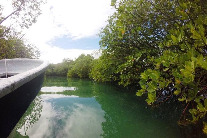 Full-Day Tour to Punta Rucia and Cayo Arena with Snorkeling - The marketplace stop is an optional-feeling finale