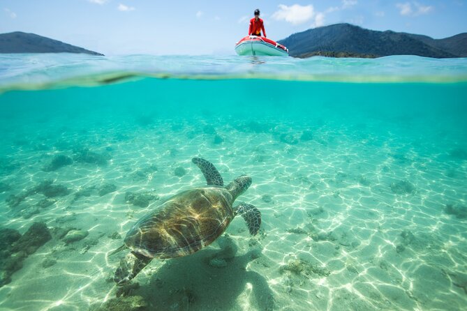 Full-Day Whitsunday Sail and Snorkel Adventure with Lunch - The sunset ride back to Airlie Beach