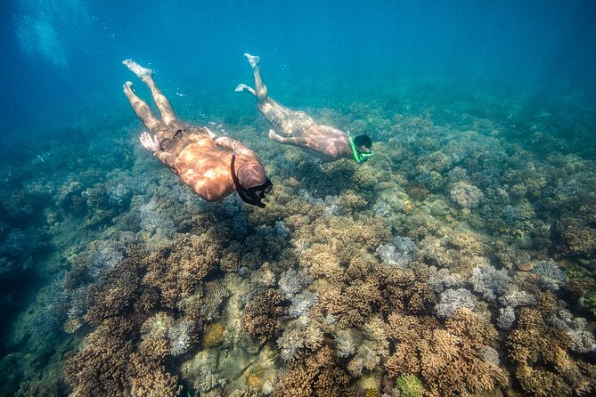Full-Day Whitsunday Sail and Snorkel Adventure with Lunch - What the $142.73 price really includes