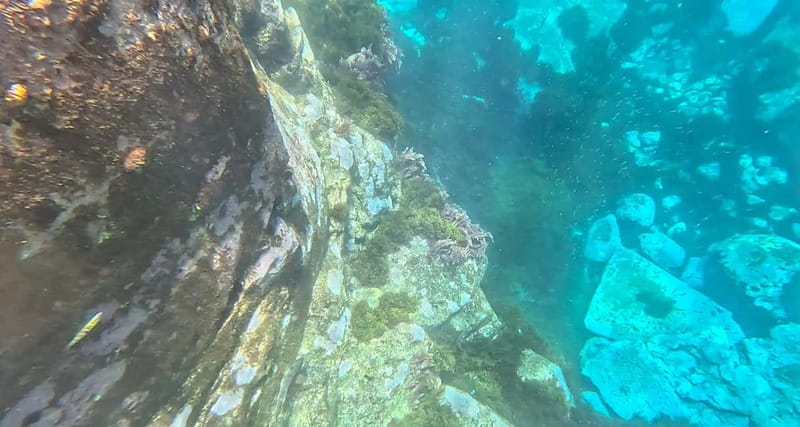 Funchal: Kayak and Snorkel Tour to Garajau NR - The return paddle is part of the price