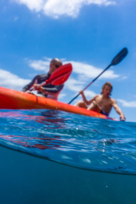 Funchal: KAYAK Rental or Guided tour with snorkeling - Practical Tips Before You Go