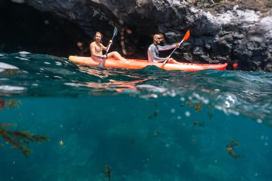 Funchal: KAYAK Rental or Guided tour with snorkeling - The Briefing Comes Before the Fun