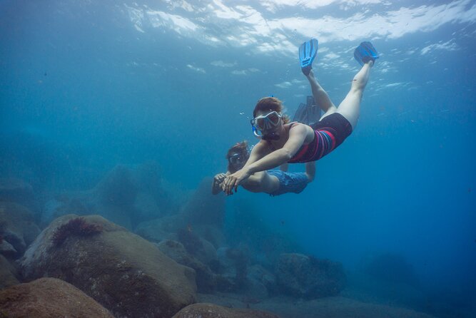 Funchal: Snorkeling Adventure in Eco-Park / Shore or by Boat - At a glance: Madeira snorkeling in two hours