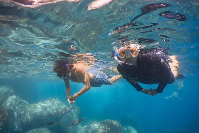Funchal: Snorkeling Adventure in Eco-Park / Shore or by Boat - Finding the sea entrance inside the Pestana Carlton