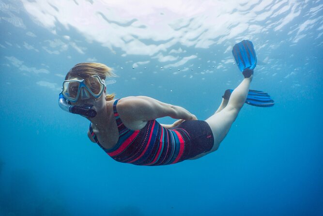 Funchal: Snorkeling Adventure in Eco-Park / Shore or by Boat - The boat option in the protected marine reserve