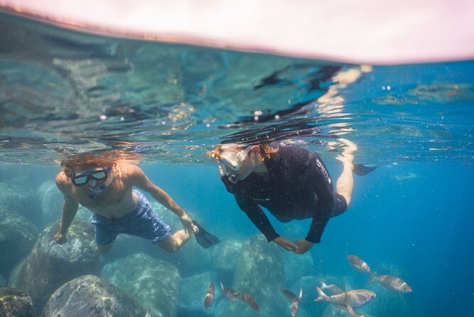 Funchal: Snorkeling Adventure in Eco-Park / Shore or by Boat - Wetsuits, masks, and the small extras that matter