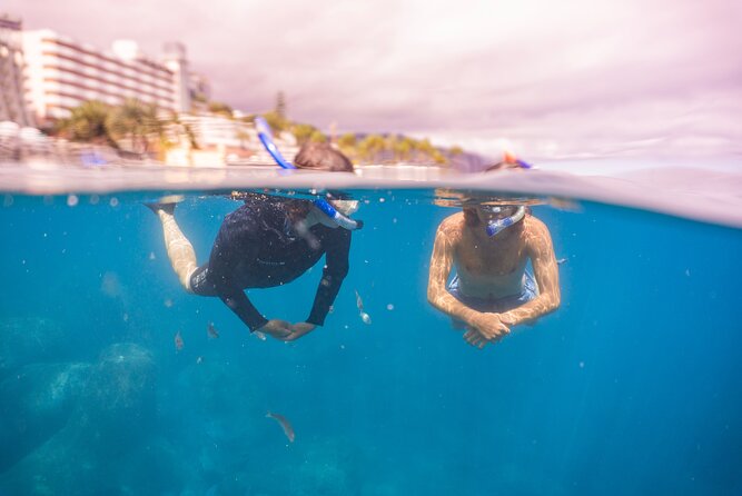 Funchal: Snorkeling Adventure in Eco-Park / Shore or by Boat - Who should book this snorkeling outing?