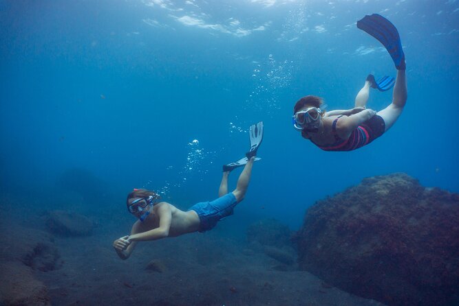 Funchal: Snorkeling Adventure in Eco-Park / Shore or by Boat - Timing, conditions, and a practical plan