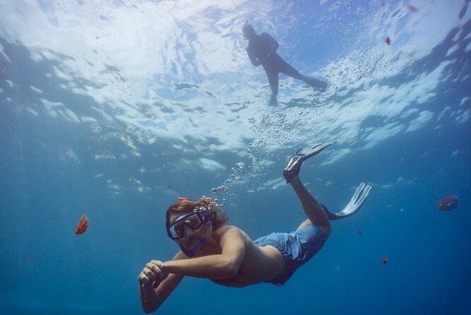 Funchal: Snorkeling Adventure in Eco-Park / Shore or by Boat - The self-guided house reef: freedom with a few conditions