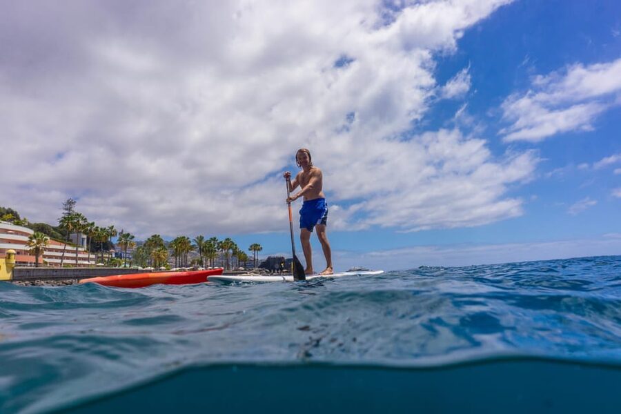 Funchal: SUP Rental or Guided tour with snorkeling - The short swim to your board