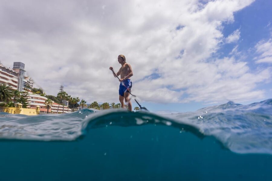 Funchal: SUP Rental or Guided tour with snorkeling - Paddling along the Funchal coast