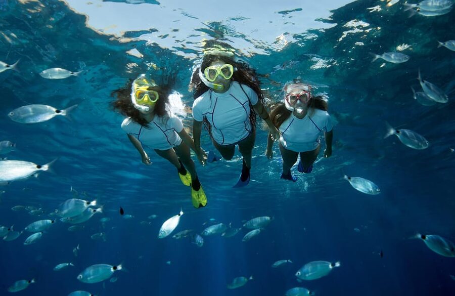 Genoa: snorkeling a stone's throw from downtown - Genoa snorkeling without leaving the city