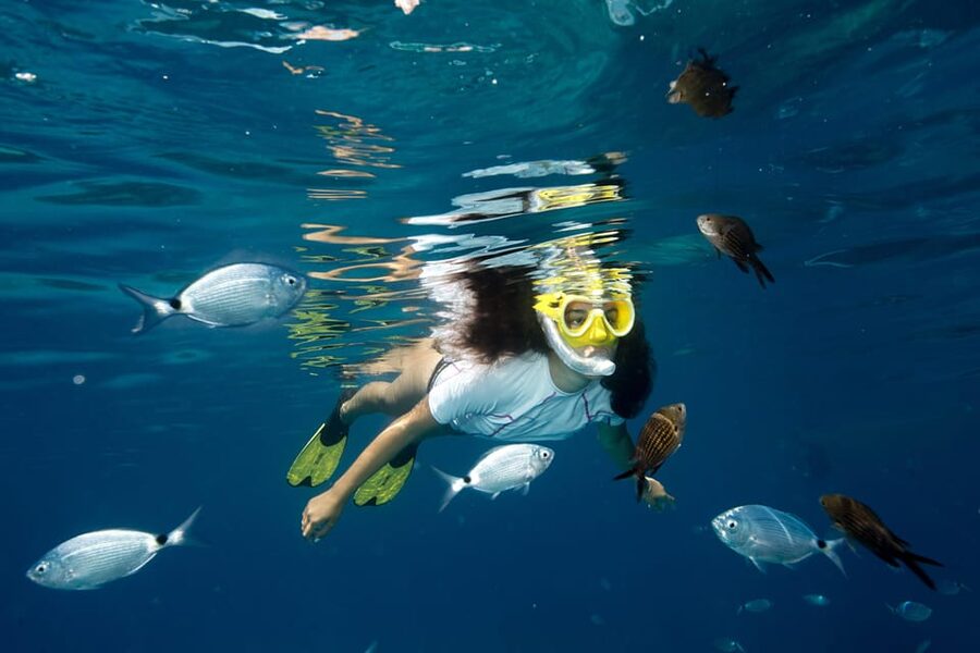 Genoa: snorkeling a stone's throw from downtown - The 15-minute briefing makes the session approachable
