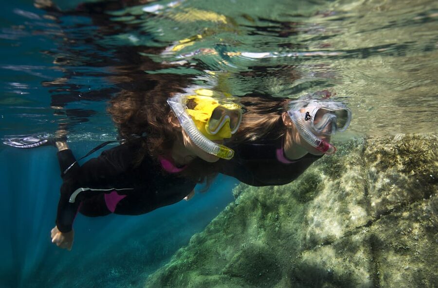 Genoa: snorkeling a stone's throw from downtown - What marine life can you expect?