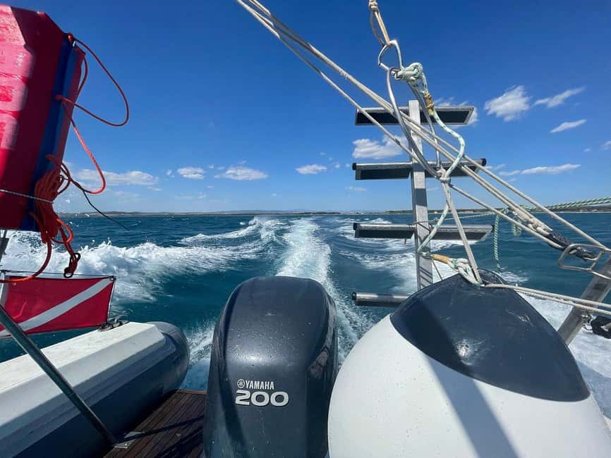 Giglio Island (Tuscania): Tour and snorkelling on a dinghy - Why this Giglio Island boat trip is different