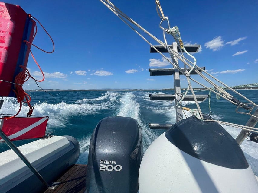 Giglio Island (Tuscania): Tour and snorkelling on a dinghy - A stop at Giglio Port