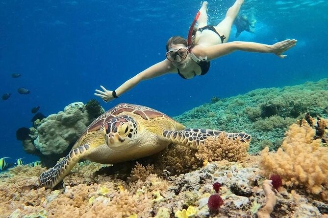 Gili Air: Snorkeling 3 Gili Islands with GoPro Camera - Key points to know before booking