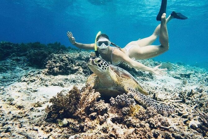 Gili Air: Snorkeling 3 Gili Islands with GoPro Camera - Fish Garden finishes with plenty of movement