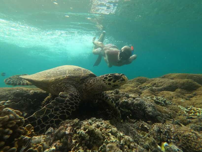 Gili Island Snorkeling Tour: 3 Gilis, 4 spots & GOPRO shoot - What the GoPro shoot really means
