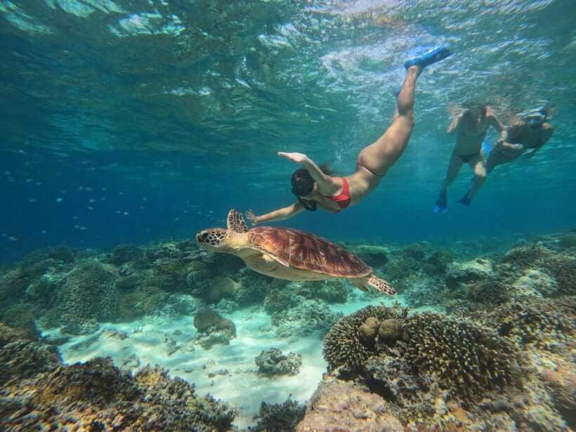 Gili Island Snorkeling Tour: 3 Gilis, 4 spots & GOPRO shoot - Equipment, safety, and what to pack