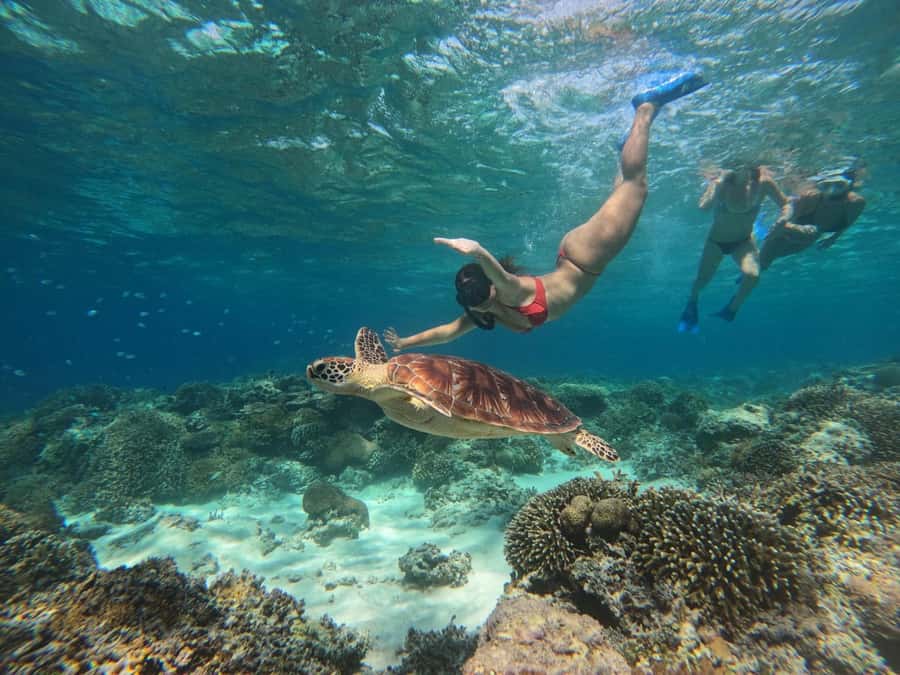 Gili Island Snorkeling Tour: 3 Gilis, 4 spots & GOPRO shoot - Turtle Point on Gili Trawangan