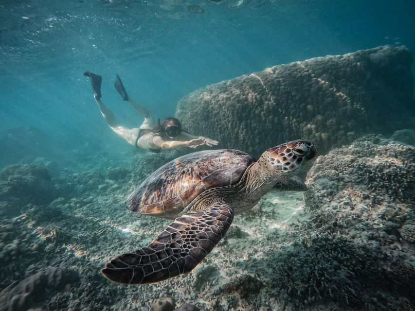 Gili Islands: Group or Private Snorkeling Tour with GoPro - Why the Gili Islands make a good snorkeling day