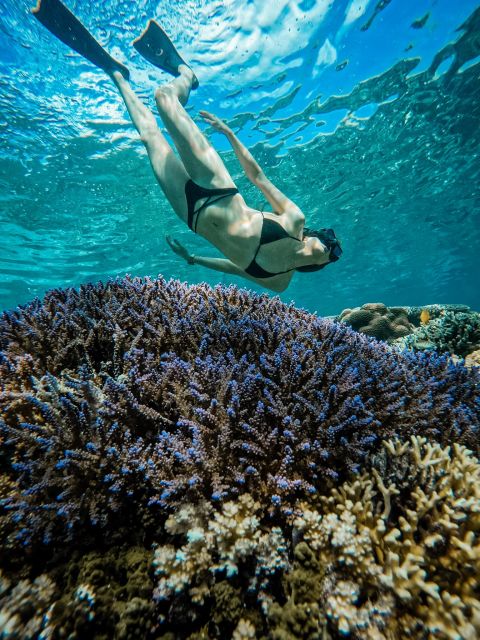 Gili Islands: Group or Private Snorkeling Tour with GoPro - Booking details worth checking
