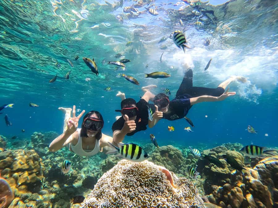 Gili Islands: Private Snorkeling Boat Tour with Local Guide - Gili Meno: the calmest-feeling water stops