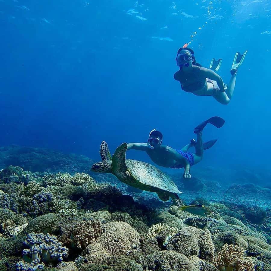 Gili Islands: Private Snorkeling Boat Tour with Local Guide - What to bring and who should skip it