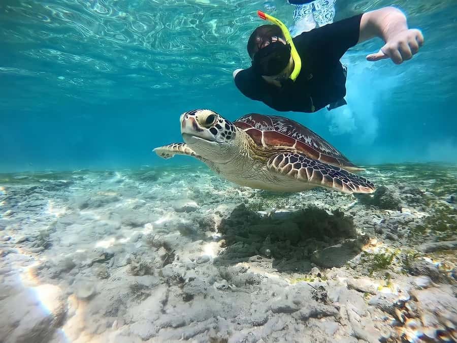 Gili Islands: Private Snorkeling Boat Tour with Local Guide - Meeting your guide and getting onto the boat
