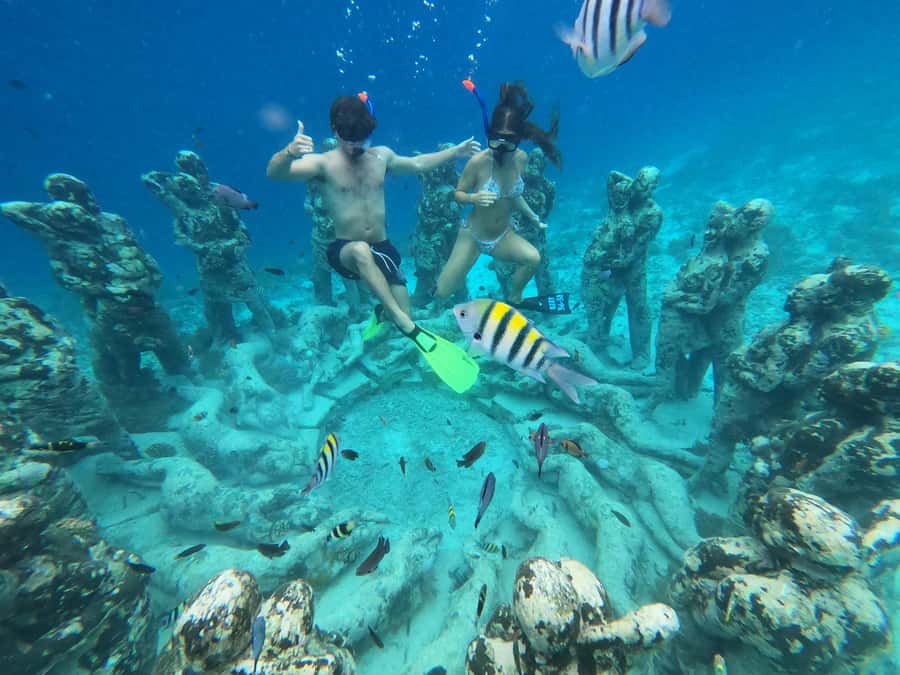 Gili Snorkeling Tour With GO PRO Documentation - The GoPro is a real part of the value