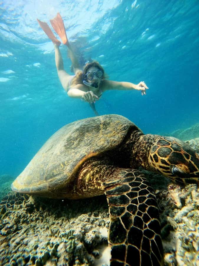 Gili Snorkeling Tour With GO PRO Documentation - Getting ready at Gili Trawangan