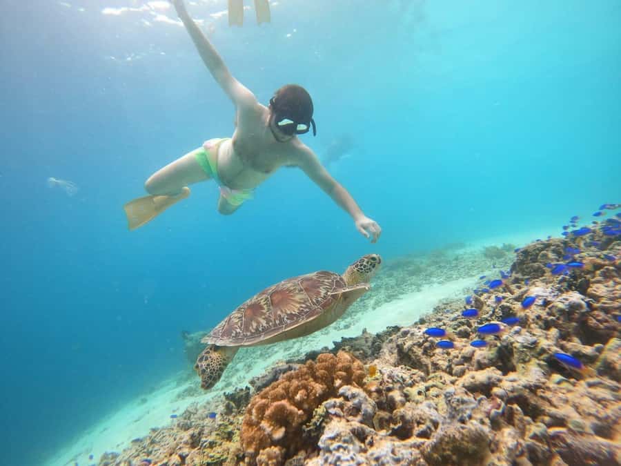 Gili T Island: Gili Snorkeling Day Trip Swim With Turtles - A glass-bottom boat sets the pace